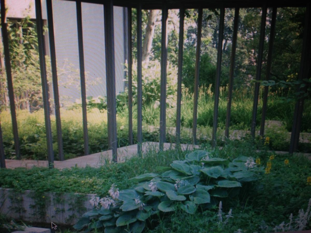 Avliving City Flat Basel With Roof Garden Luaran gambar